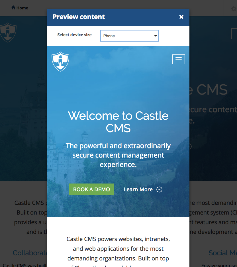 Castle CMS: preview
